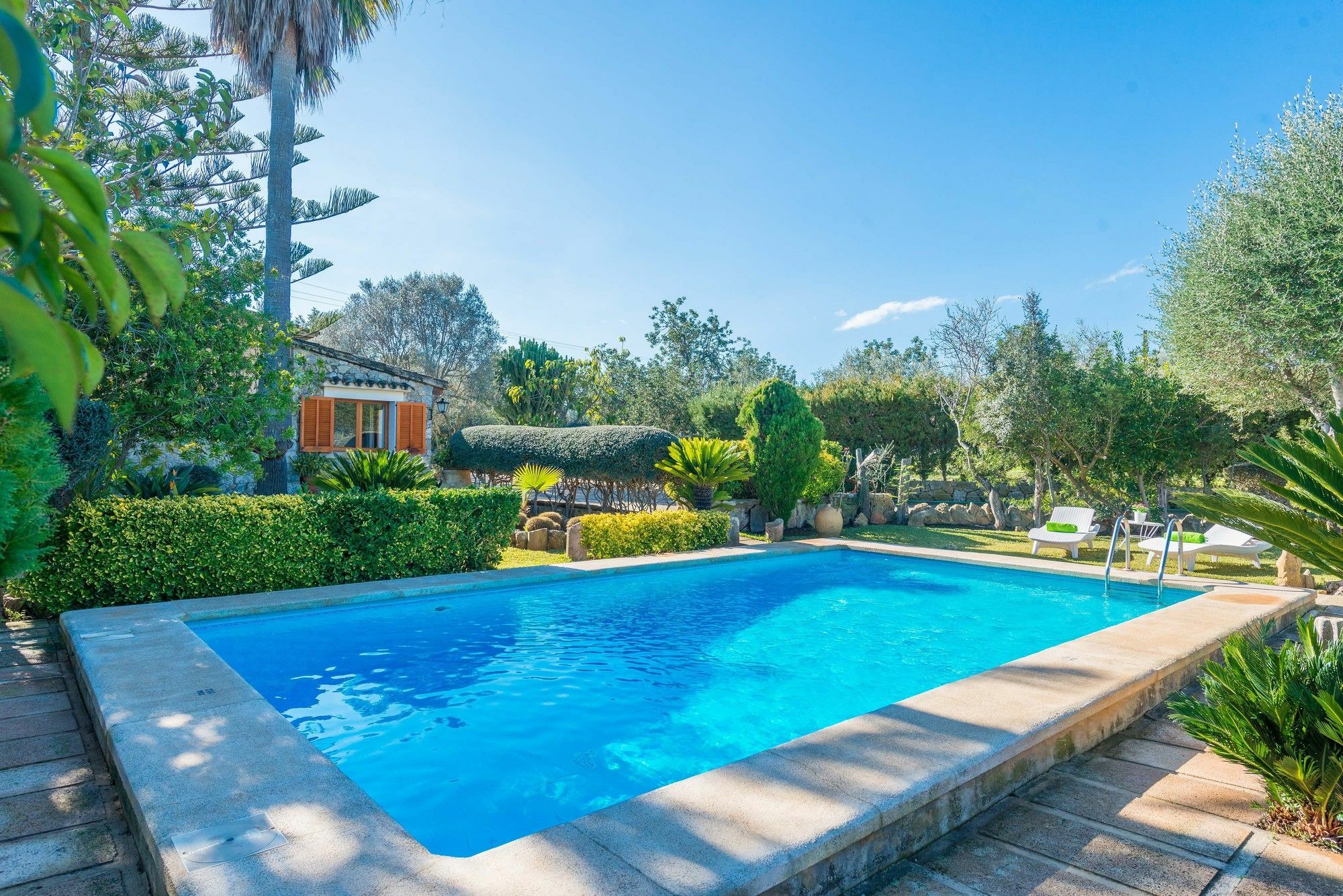 Marina Borras Villa *