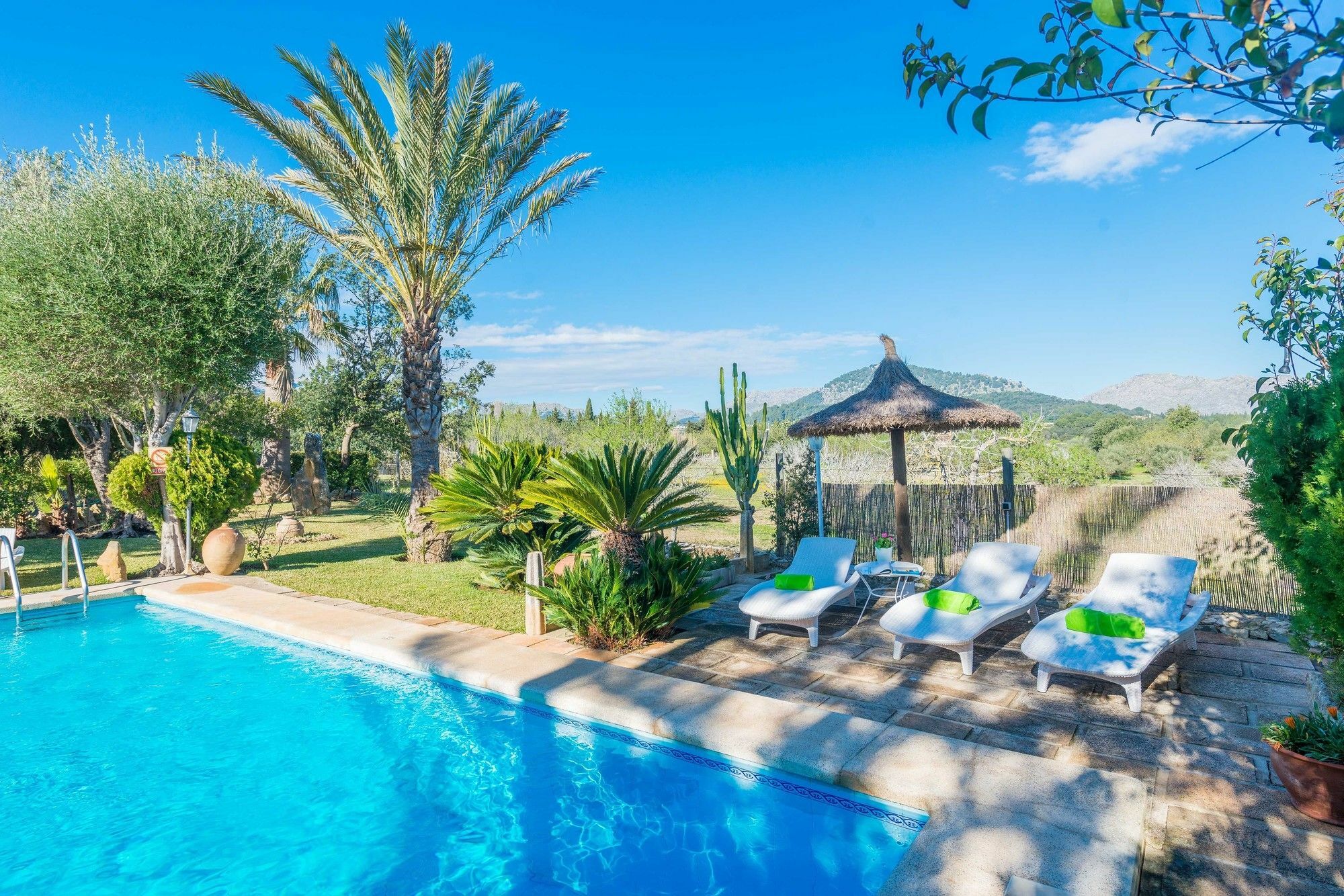 Marina Borras Villa *