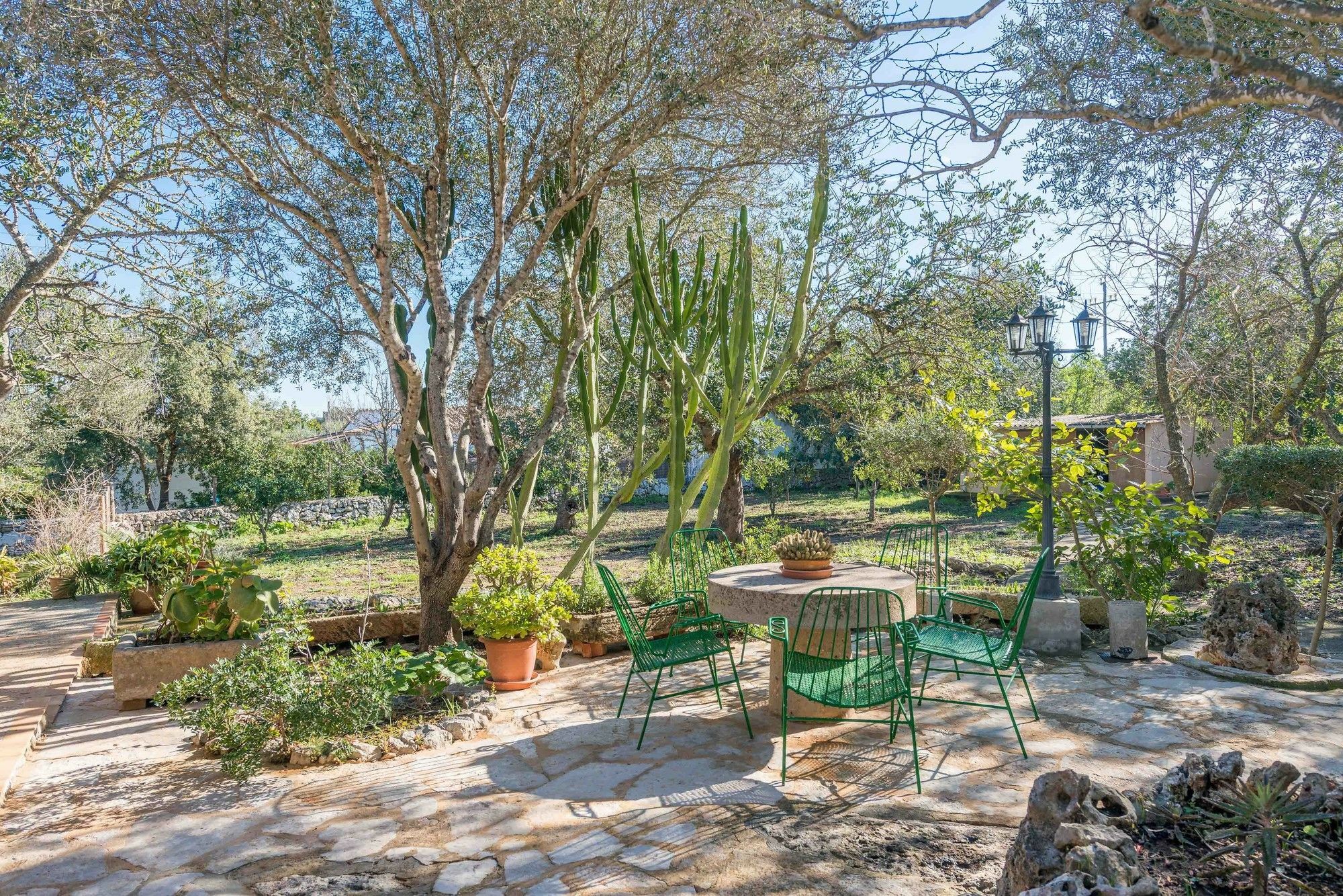 Marina Borras Villa *